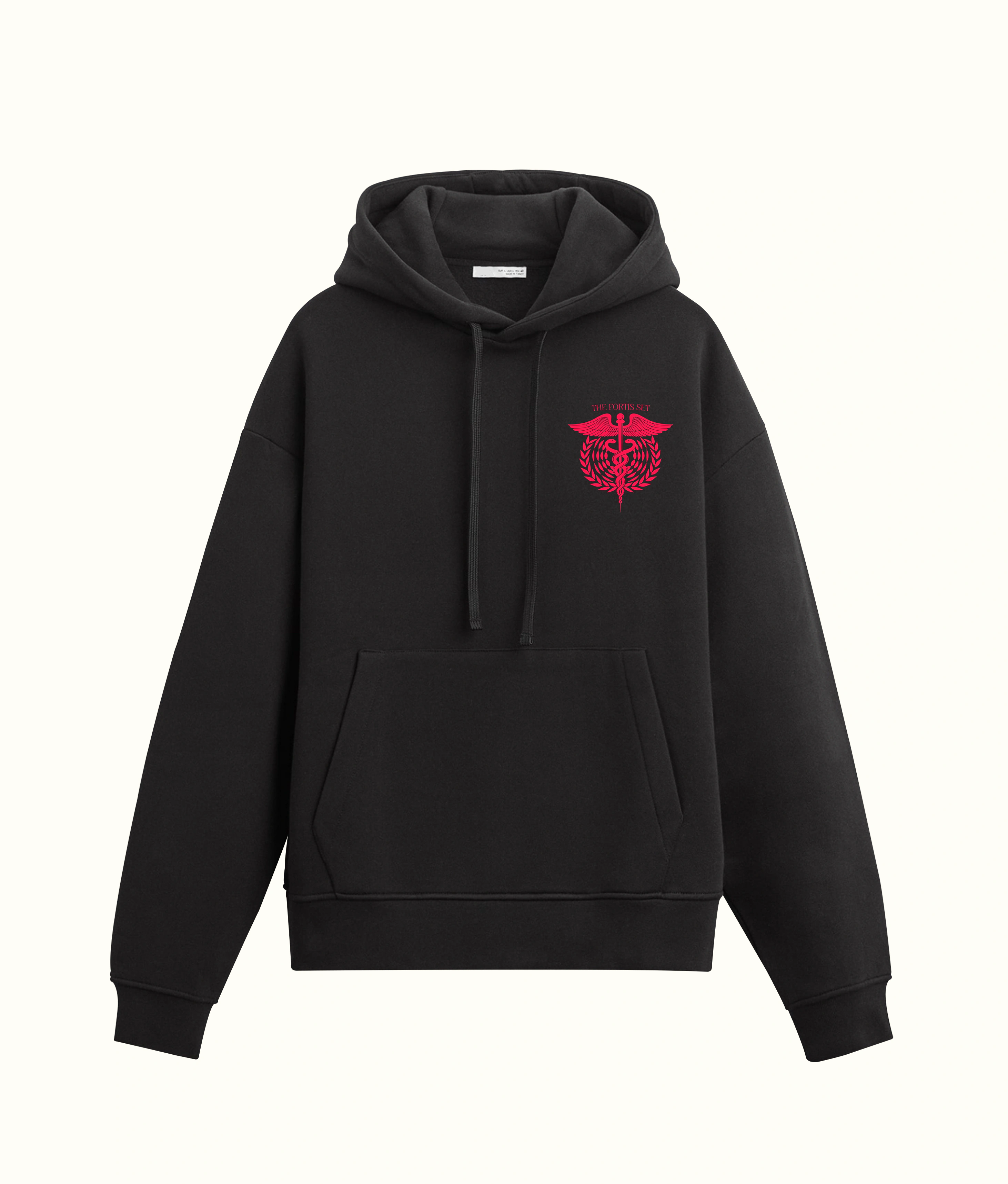 Fortis ’24 hoodie — apparel / merchandise